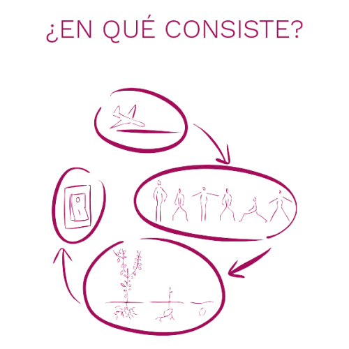 EN QUÉ CONSISTE UNA SESIÓN DE DMT